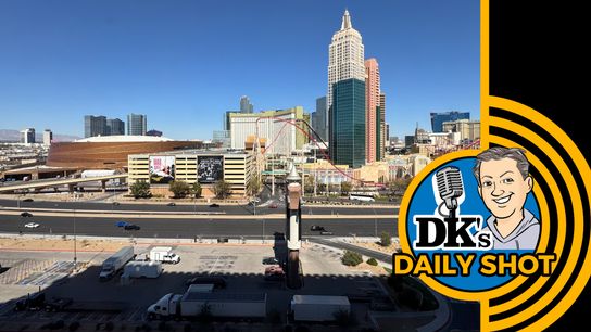 DK's Daily Shot of Penguins: No. 1 in WHAT category? taken in Las Vegas (Podcasts)